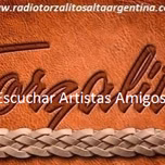 Radio Torzalito Salta Artistas