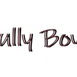 Bully Music Inc