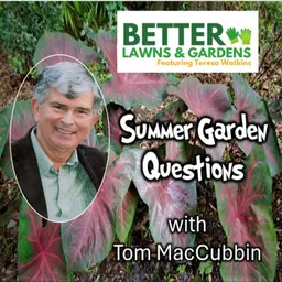 S2 Ep466: Better Lawns and Gardens - Hour 1 Summer Garden Questions August 2, 2026