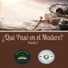 El Maná de Hoy - Serie: Qué pasó en el madero? Parte 1