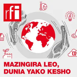 Mazingira Leo, Dunia Yako Kesho
