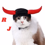 Radio Jaleas