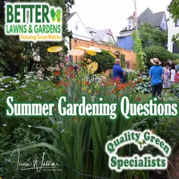 S2 Ep464: Better Lawns and Gardens - Hour 1 Summer Garden Questions July 11 2026