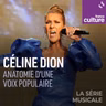 Céline Dion : anatomie d'une voix populaire 4/4 : La voix après la puissance