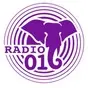 Naxi Radio 016