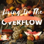 Living in The Overflow