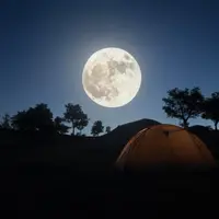 La noche de QuiQuesaLe