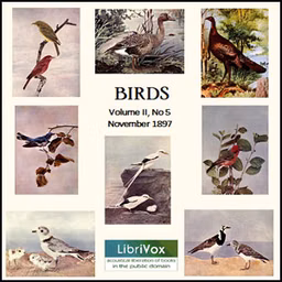 Birds, Vol. II, No 5, November 1897 by Various