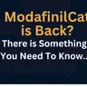 Seized by the FBI and Now They're Back? The Truth About ModafinilCat
