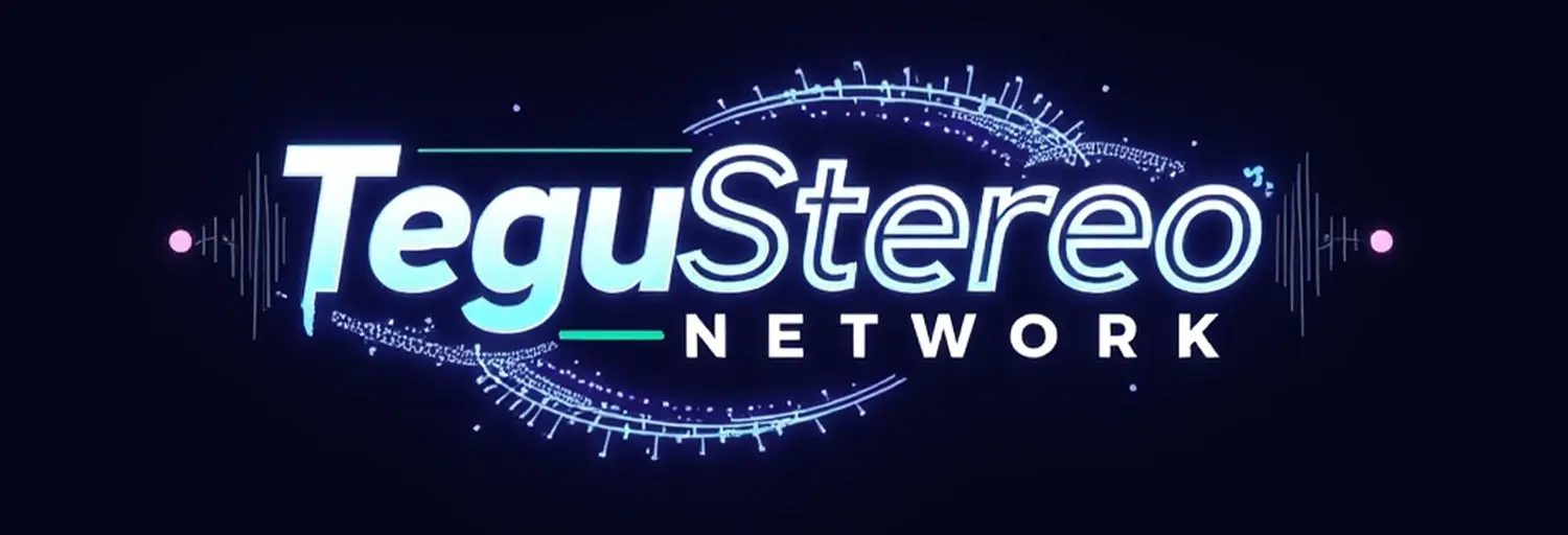 TeguStereo