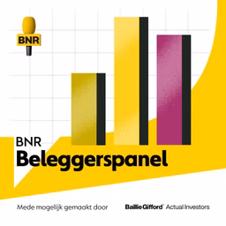 BNR Beleggerspanel | BNR