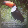 10 curiosidades sobre a Mata Atlântica.