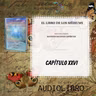 Segunda Parte, CAPÍTULO 26- El Libro de los Médiums, codificado por Allan Kardec -