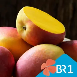 Genuss mit gutem Gefühl - Bio, fair, Schiff oder Flug: Welche Mango ist die beste?