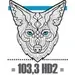 Coyote New Country - CHAA-HD2