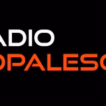 RADIO VOPALESON