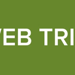 RADIO WEB TRIBAL MIX