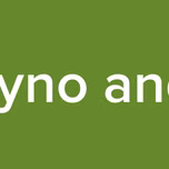 Huayno andino
