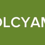 DLCYAM