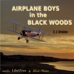 Airplane Boys in the Black Woods by E. J. Craine (1881 - )