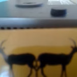 Kitovu fm