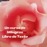 Capítulo 5 - III. El Guía a la salvación.