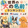 104.モモ、豆豆、Luna…世界の犬の名前を比べてみた！桃桃、豆豆、Luna……比較看看世界各國狗狗的名字！