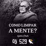 #529 - Ajahn Chah - Como Limpar a Mente?