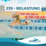 239 - Belastung