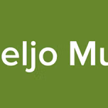 Ameljo Music