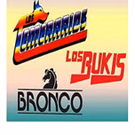 B.B.T SALTILLO