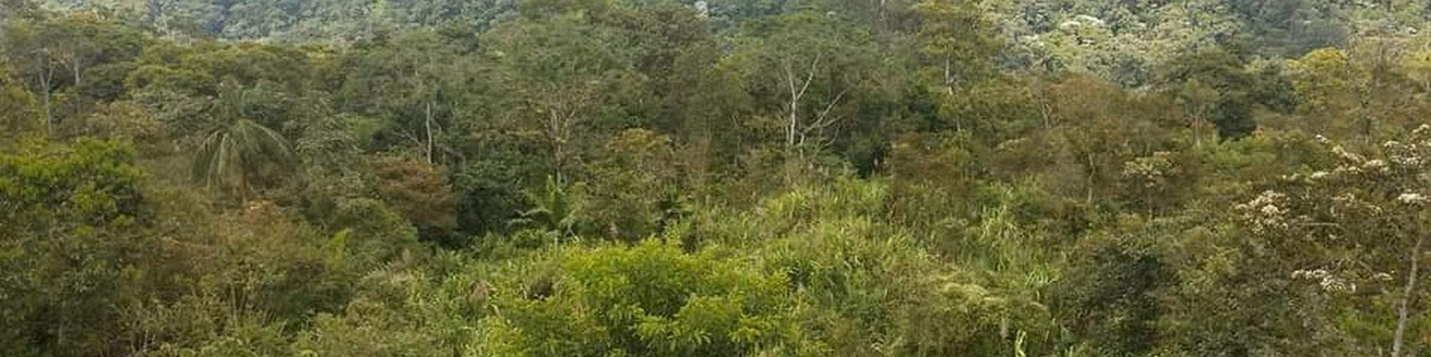LA KOKETA FM