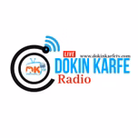 Dokin Karfe Radio