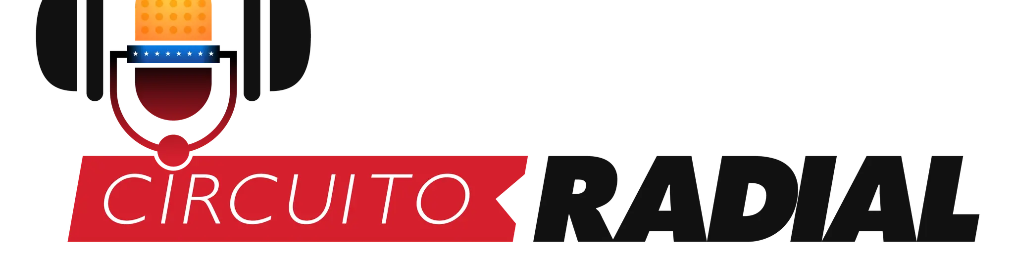 CIRCUITO RADIAL PDVSA