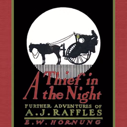 Thief in the Night