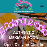 ElPalenqueHouston