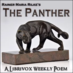 Panther