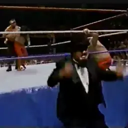 GFA Live #276: WWF Superstars 11-10-1990 (Demolition reunites with Mr. Fuji)
