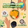 S2-01. Tempe Mendunia??