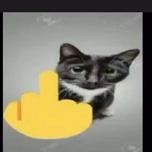 Makako hapy