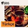 SBS Türkçe Canlı – 24 Eylül 2026 Perşembe | Yapay zekadan kamu bilgilerine izinsiz erişim