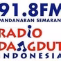 RDI FM 91.8