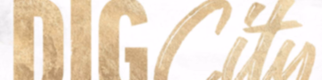 Dig City - Purdue Volleyball Podcast