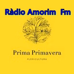 Radio F A Gospel