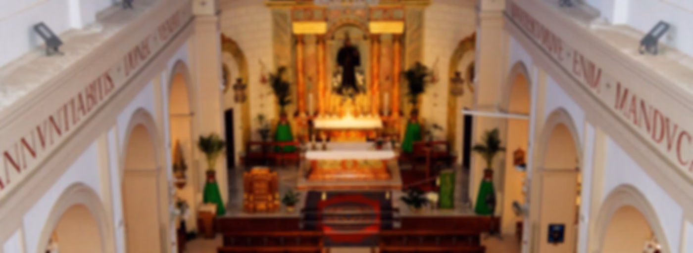 Crónicas de San Pedro Alcántara