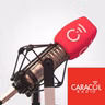 Delcy Rodríguez es la más preparada y tiene la capacidad de mantener al enemigo en calma: actor Fernando Carrillo