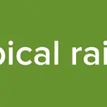 fabical raido