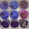 Red Tide and Epigenetics