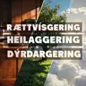 3/3 Dýrdargering - Jens Bech