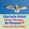 Os Passaros